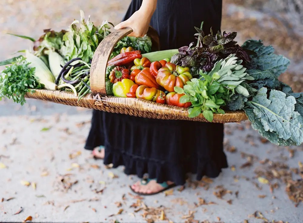 5 tips for vegan and staying vegan Business Insider