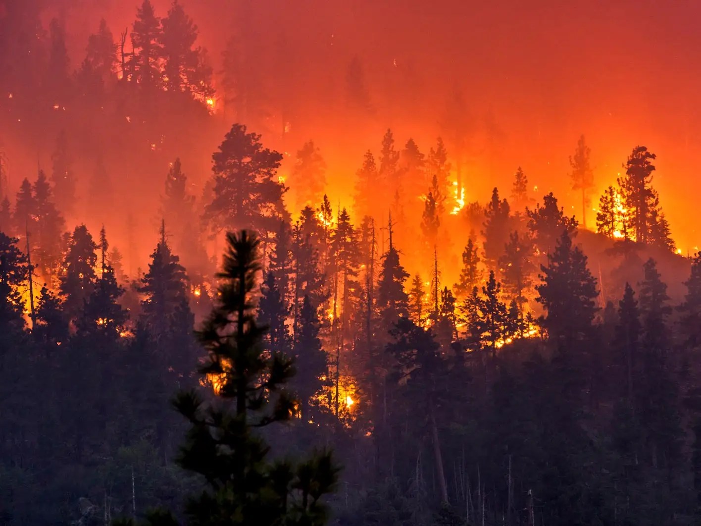 A photographer gets up close and personal with California