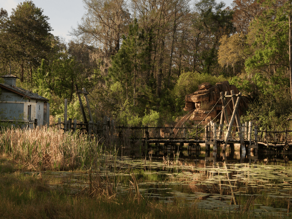 This abandoned Disney water park has been rotting for over 15 years