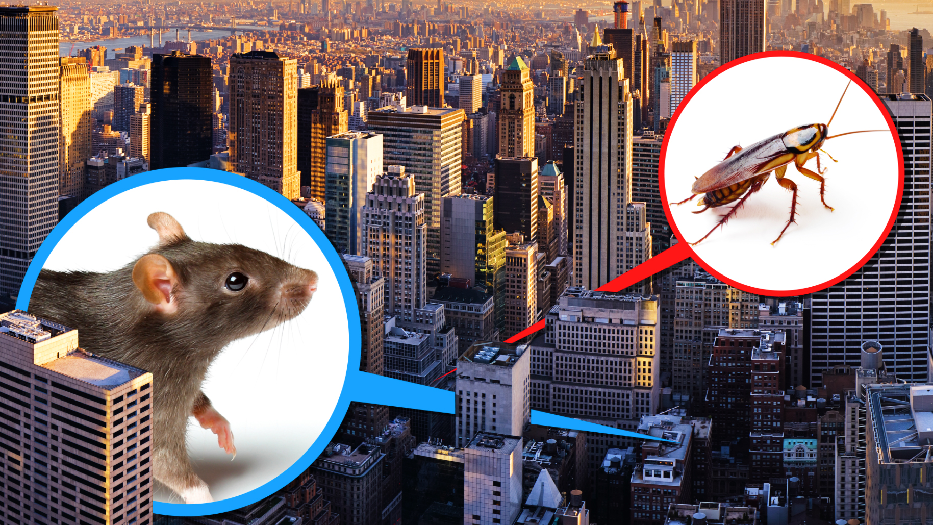 Your apartment location can affect how cockroaches, rats, and mice get