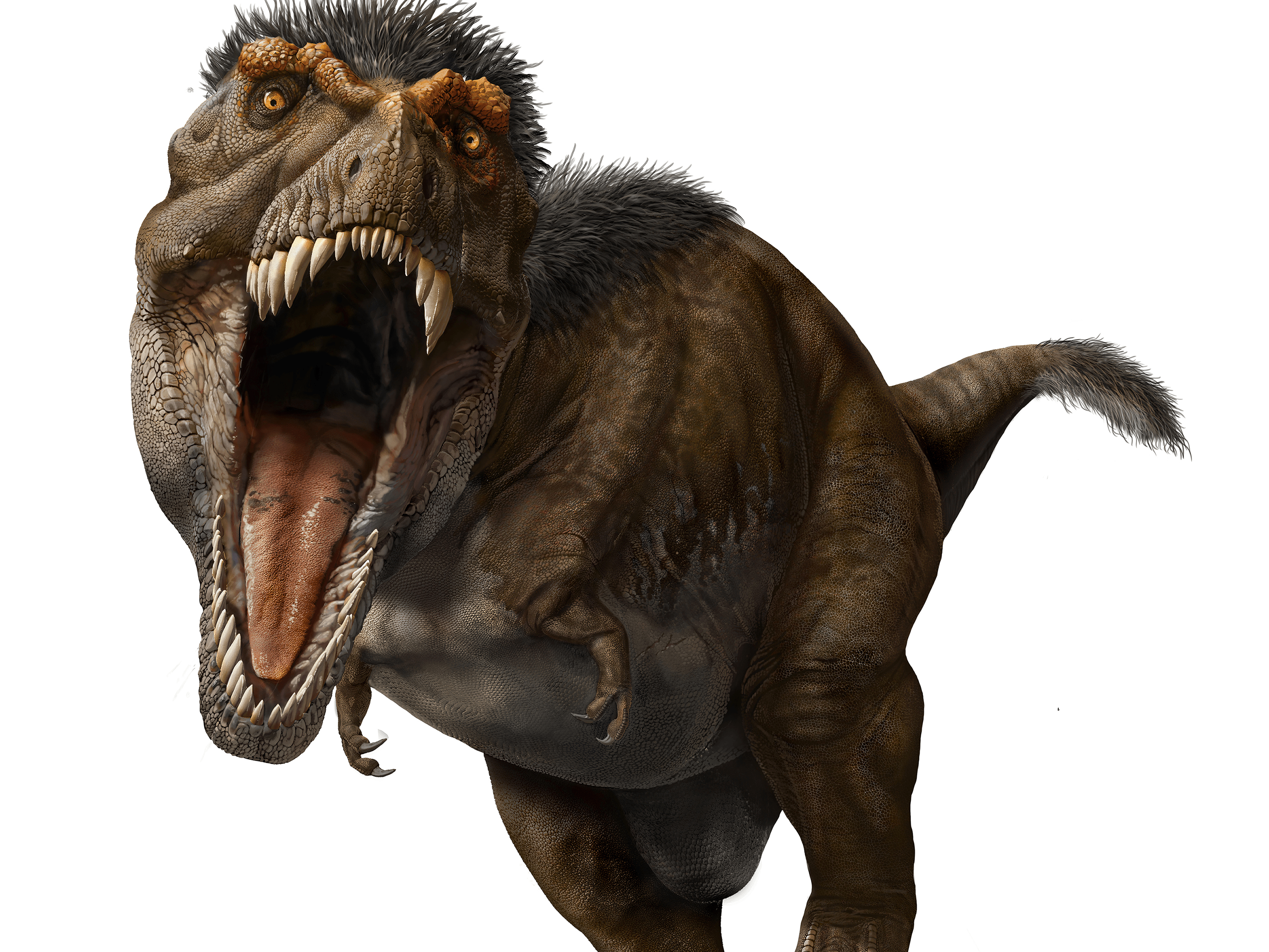 The T. Rex had the strongest bite of any land animal ever