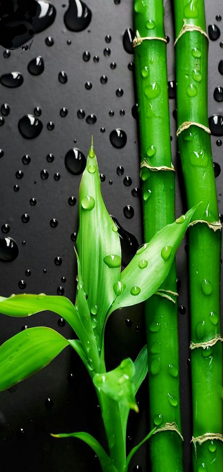 97 Hd Wallpapers Realme 6 Pro free Download My