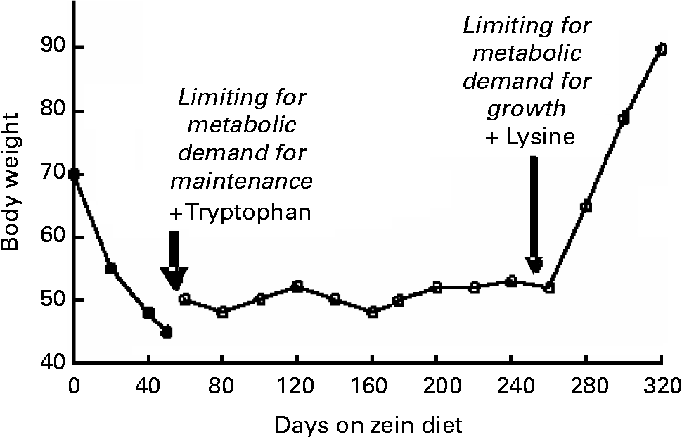Amino acid scoring patterns for protein quality assessment British