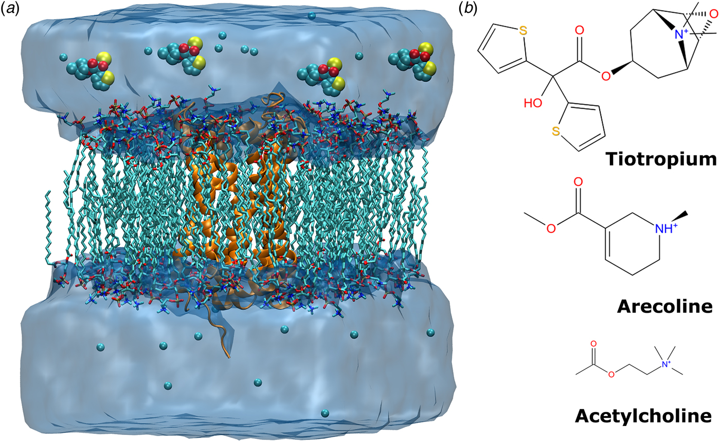 Accelerated molecular dynamics simulations of ligand binding to a