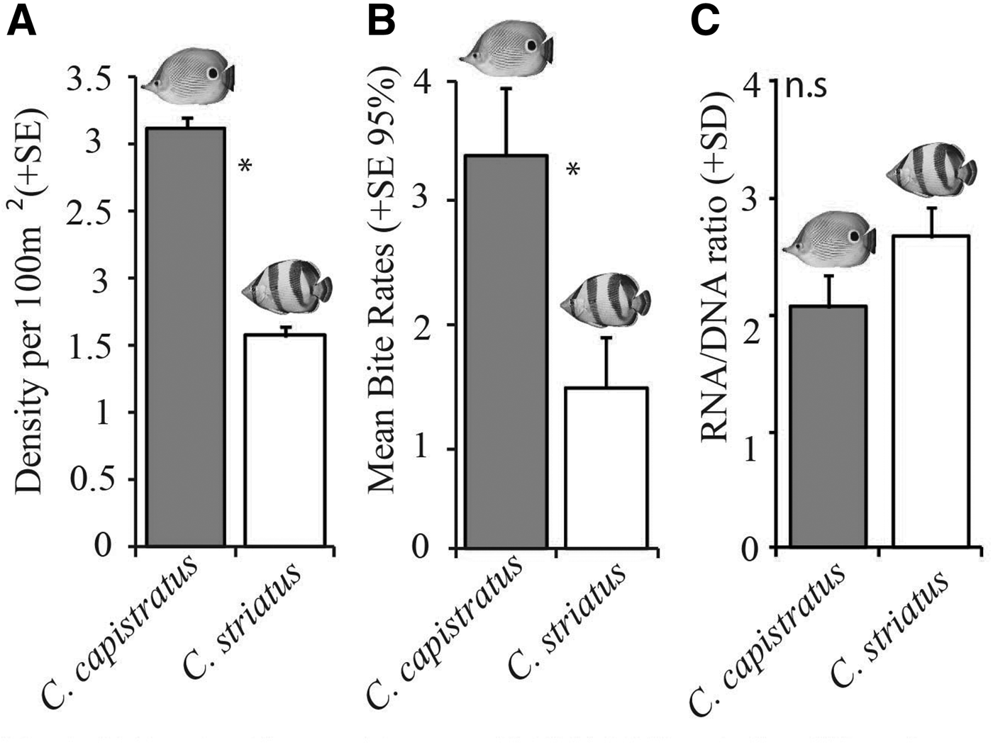 Resource Partitioning By Two Syntopic Sister Species Of Butterflyfish Chaetodontidae Journal Of The Marine Biological Association Of The United Kingdom Cambridge Core