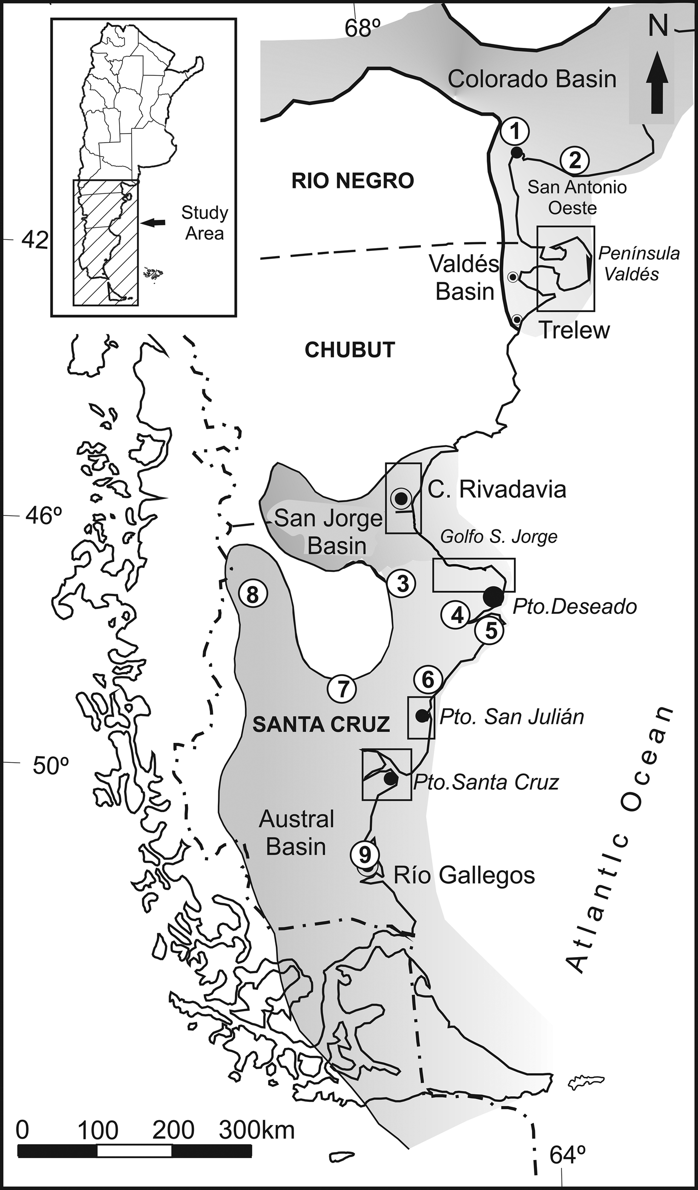 Neogene Pectinidae Bivalvia Of Tribe Chlamydini Teppner 1922 In Patagonia Argentina Zygochlamys Ihering 1907 And Three New Genera Journal Of Paleontology Cambridge Core