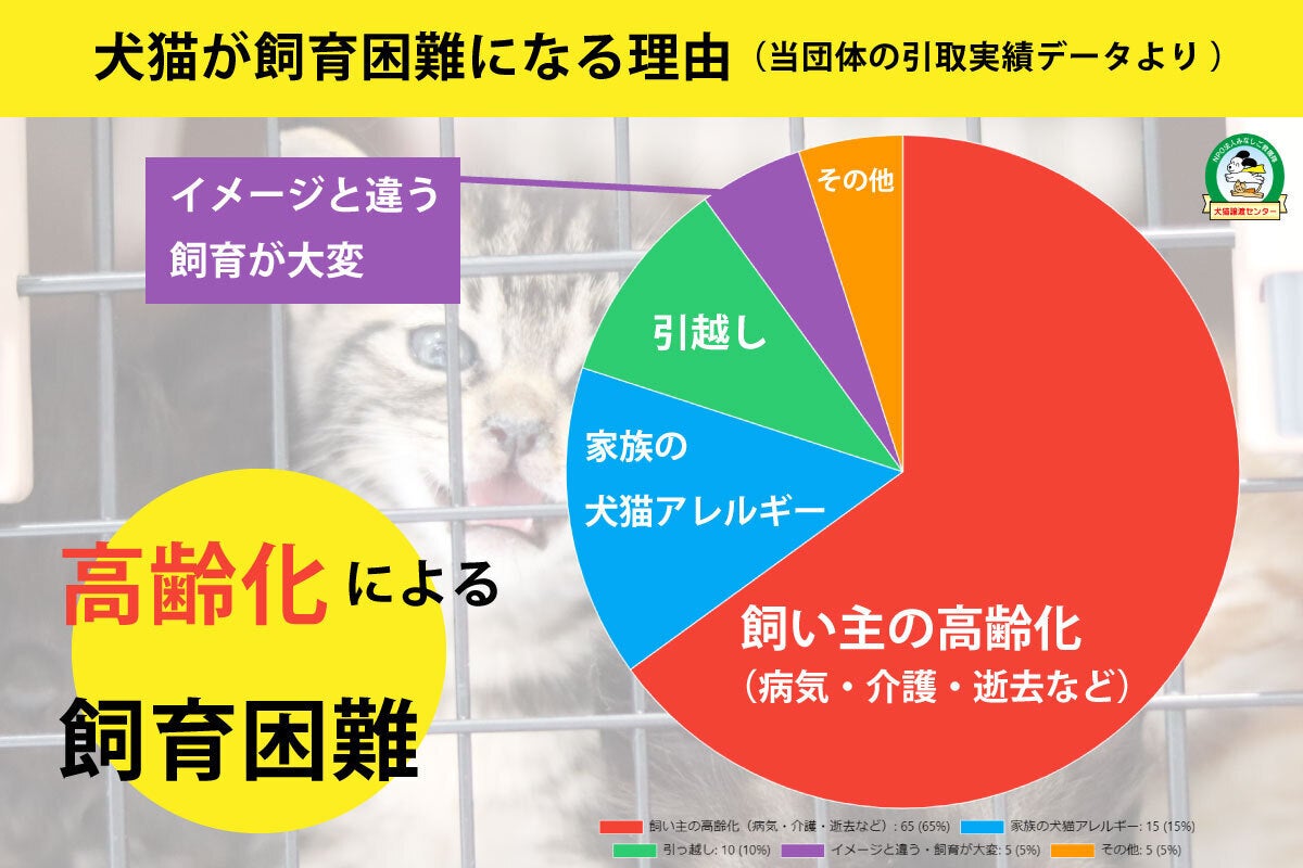 捨てられた犬猫たちの保護施設を完成させたい！ CAMPFIRE (キャンプファイヤー)