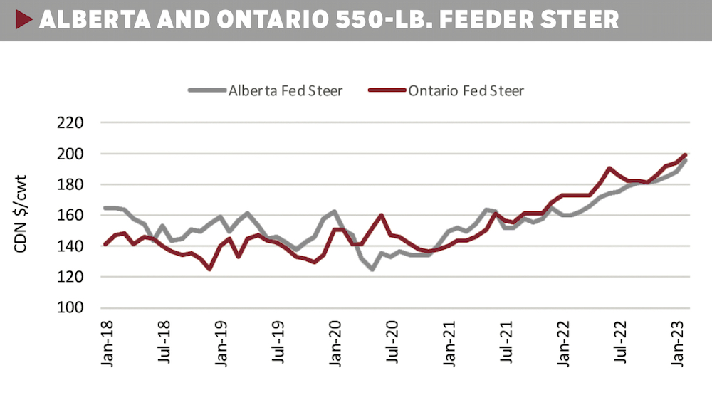Fed, feeder cattle prices in recordhigh range Canadian Cattlemen