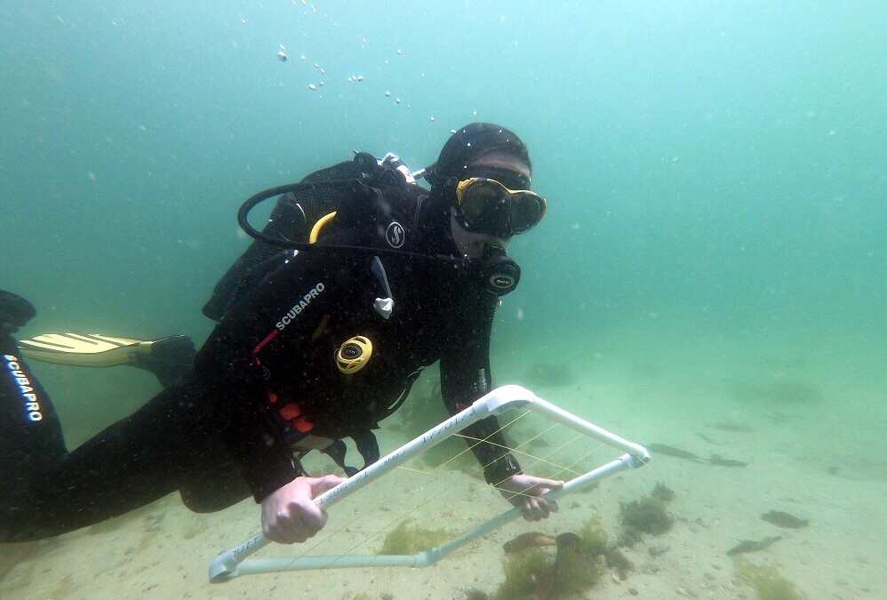 What it takes to a field marine biologist Cape RADD