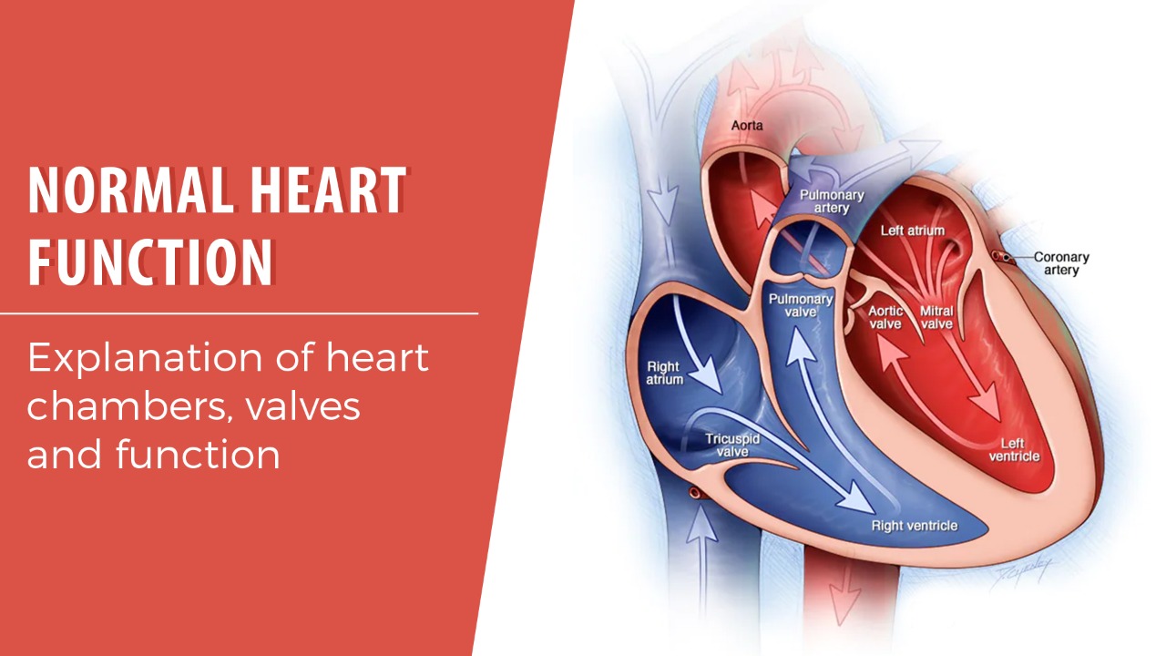 How Heart failure causes fluid build up