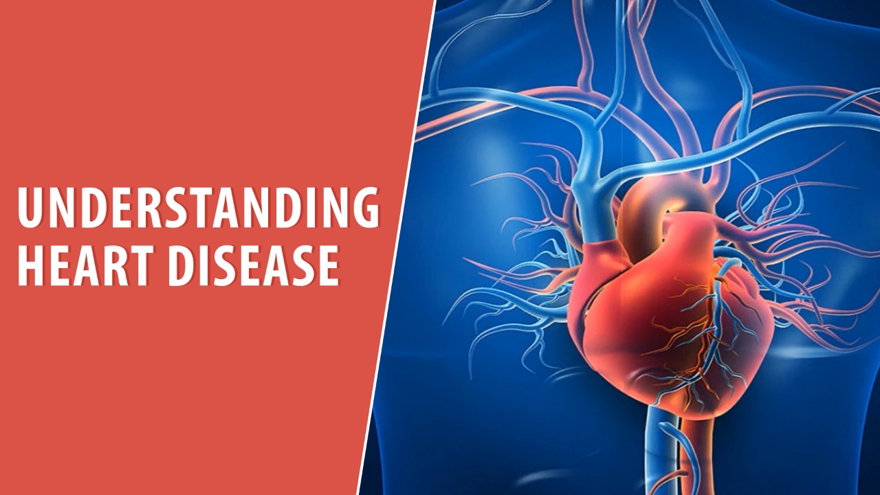 Understanding Heart Disease DiabetoVisual Trusted Patient Education