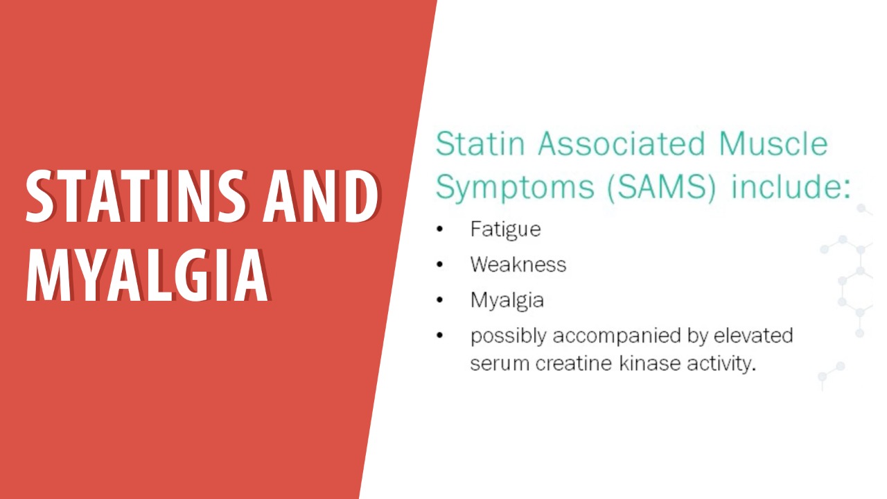 Statins and muscle pain CardioVisual Trusted Patient Education Platform