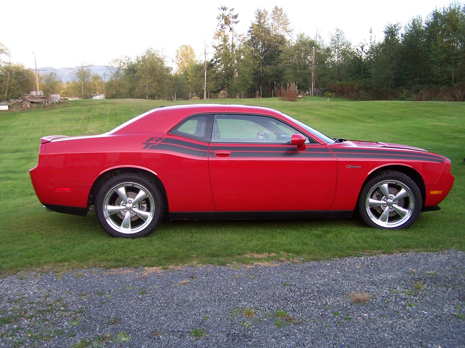 2010 Dodge Challenger Pictures CarGurus
