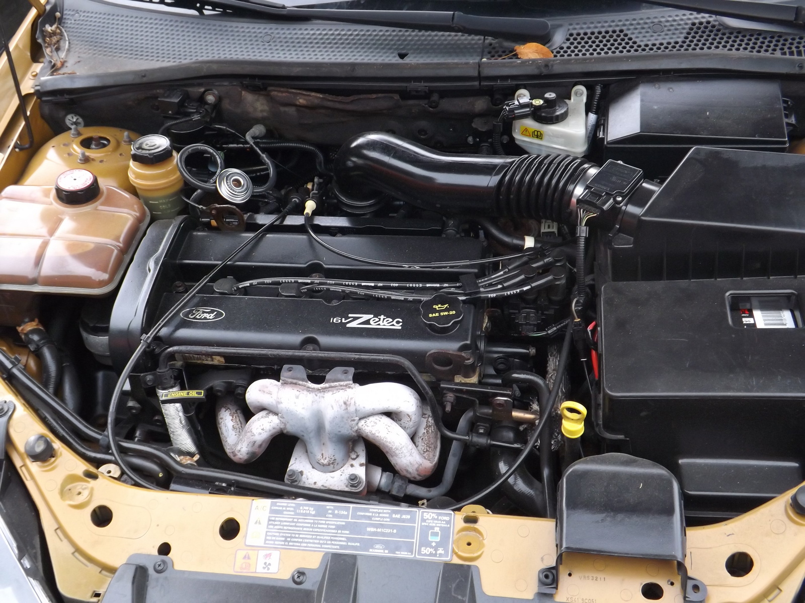 2001 Ford Focus Other Pictures CarGurus
