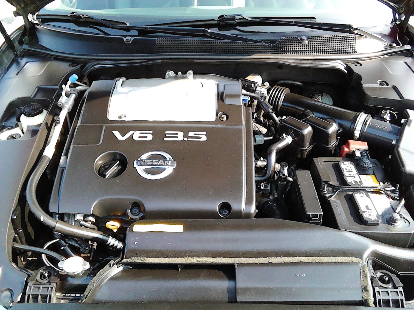 2004 Nissan Maxima Pictures CarGurus