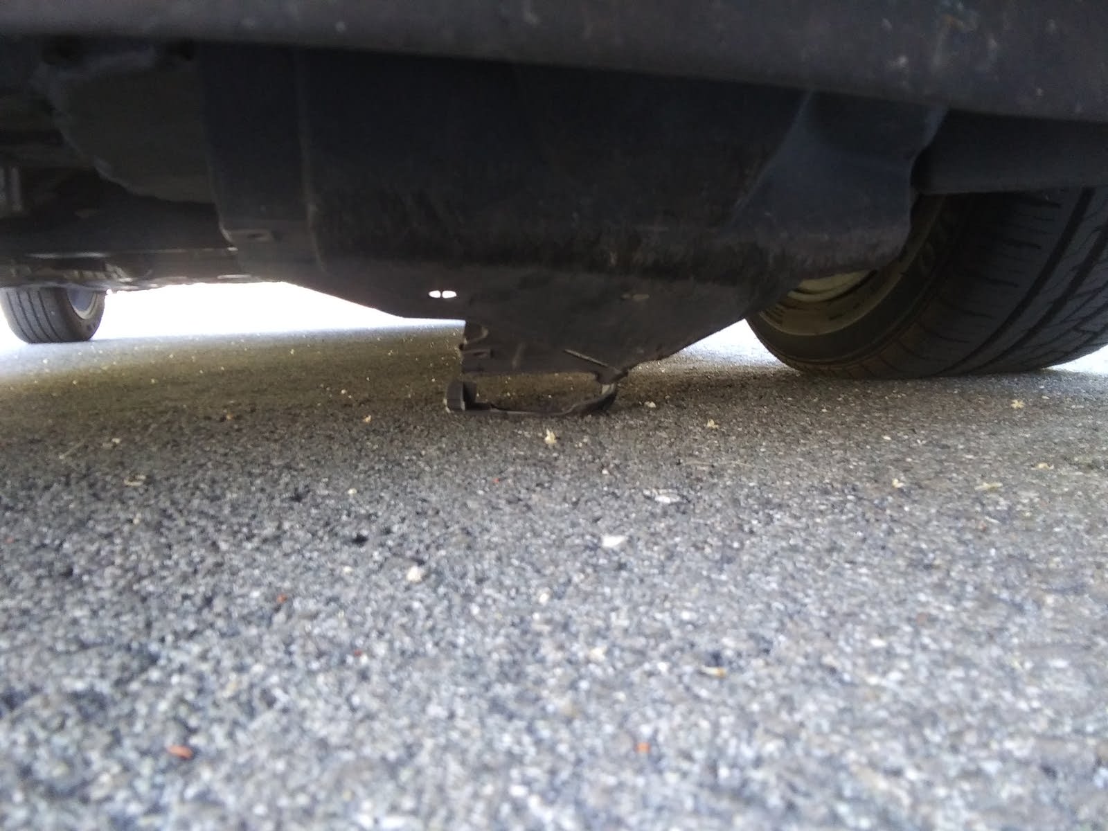 Honda Fit Questions HELP PLEASE! Stratching noise CarGurus