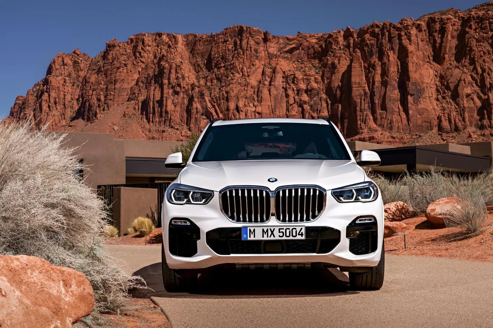 2021 BMW X5 M50i SUV Price, Review, Ratings and Pictures