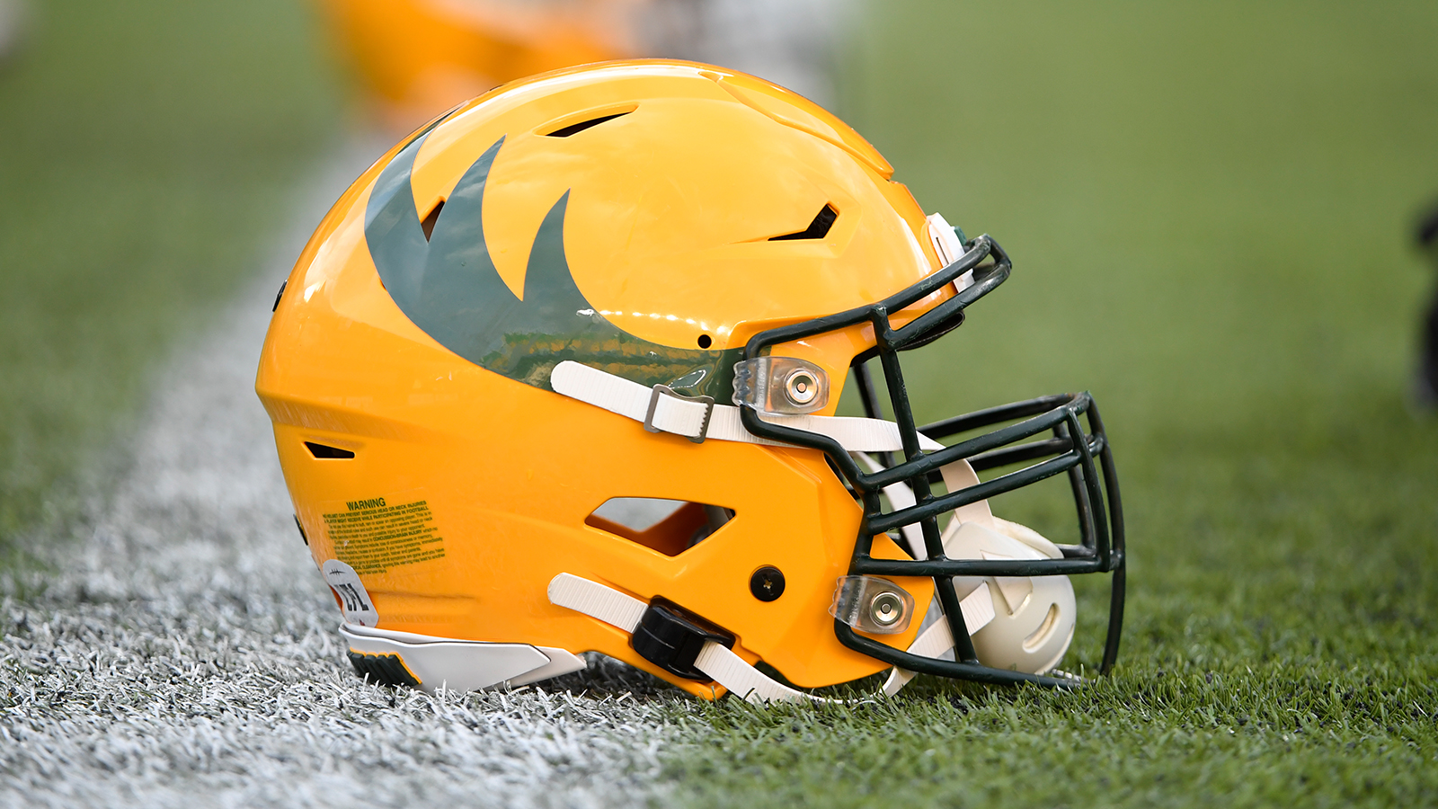 Depth Chart & Game Notes Elks vs. Roughriders Edmonton Elks