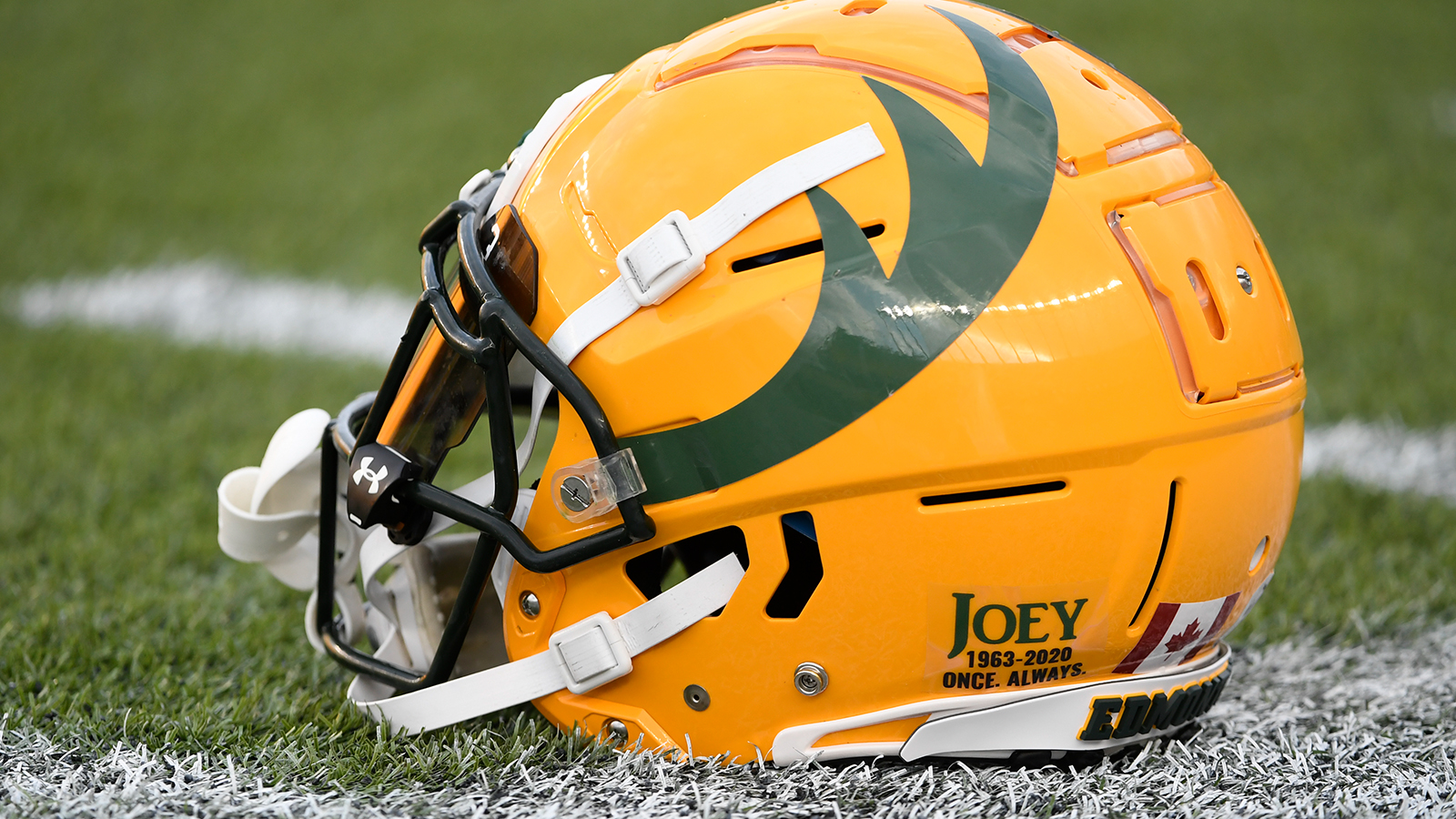 Depth chart & game notes Elks Argonauts Edmonton Elks