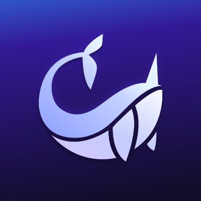 Narval (None) Price, Investors & Funding, Charts, Market Cap | Chain Broker