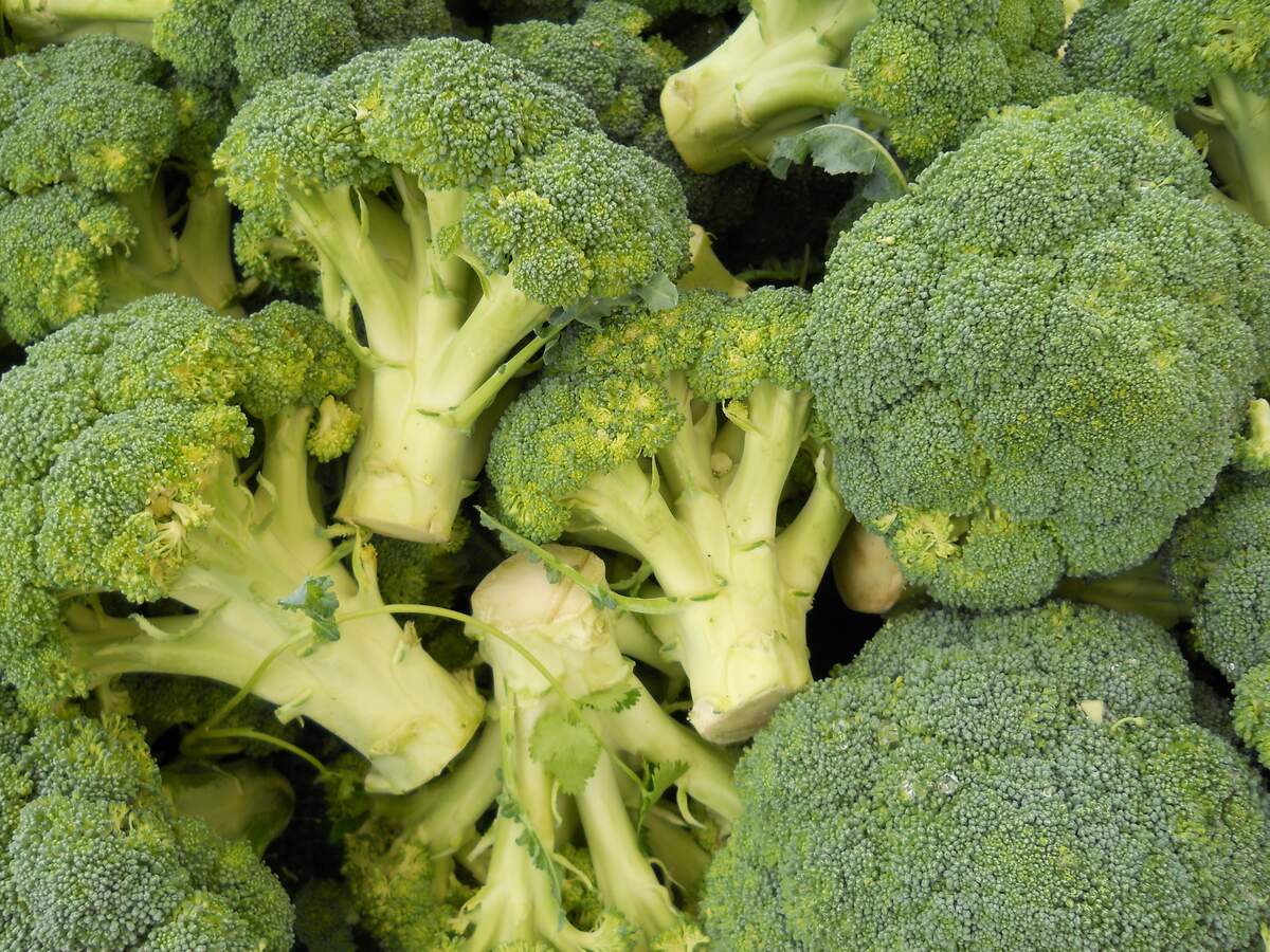 National Broccoli Day Holiday