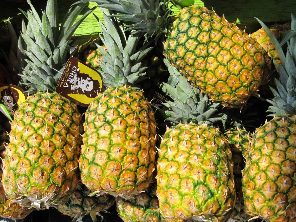 big pineapple festival 2023 dates National Pineapple Day Holiday