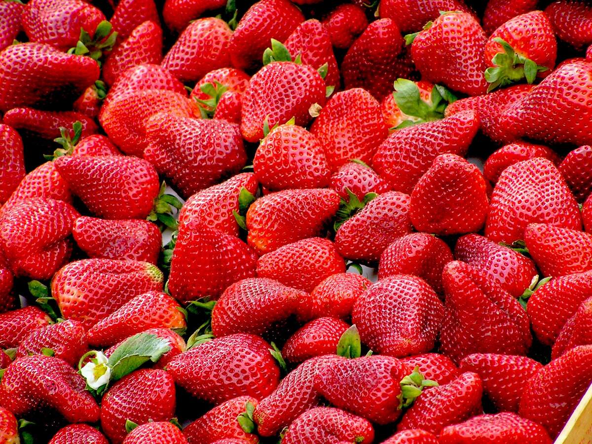 National California Strawberry Day Holiday