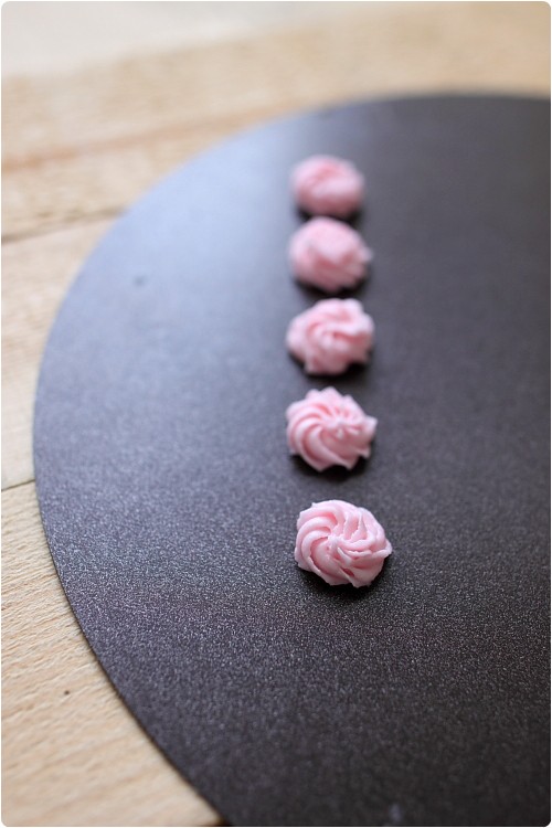 Décorer avec une poche à douille chefNini