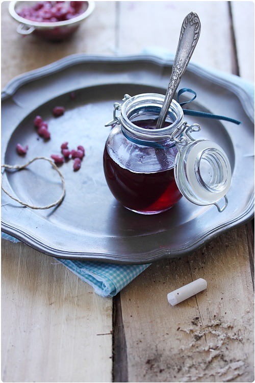 Sirop de grenadine maison chefNini