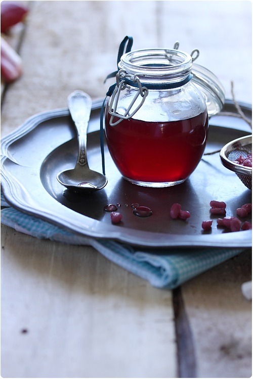 Sirop de grenadine maison chefNini