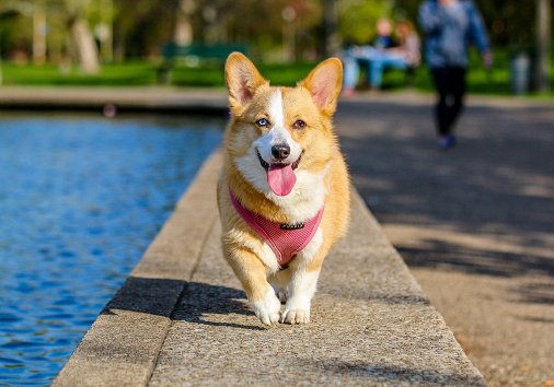 What is Parallel Editing Definition and Examples — Clideo