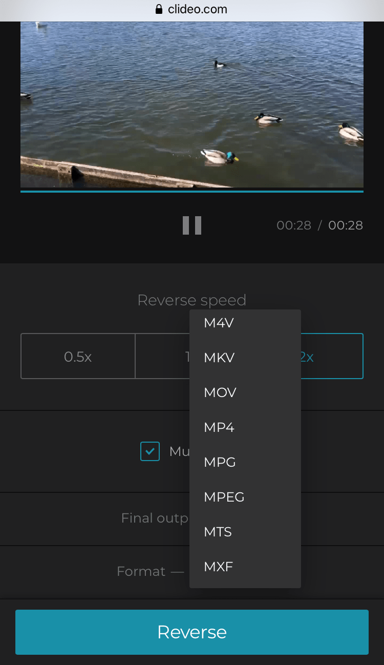 How to Reverse Video on iPhone Online — Clideo