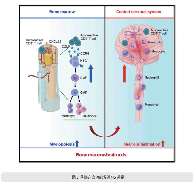 多发性硬化症机制研究新发现 产品专题 武汉云克隆科技股份有限公司官方网站