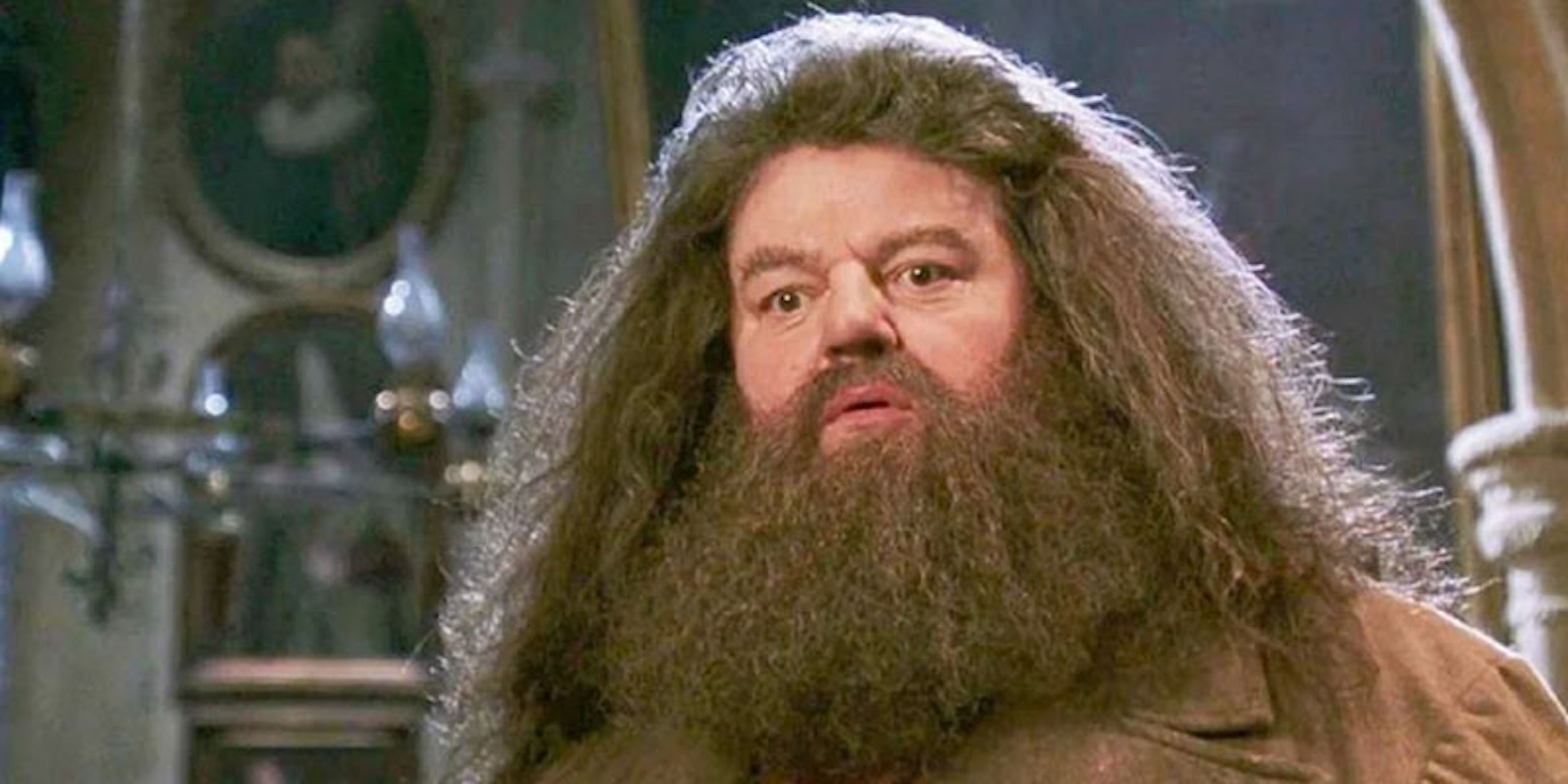 Harry Potter l'acteur Robbie Coltrane, qui incarnait Rubeus Hagrid