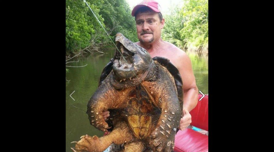 Il pêche une tortue préhistorique CNEWS