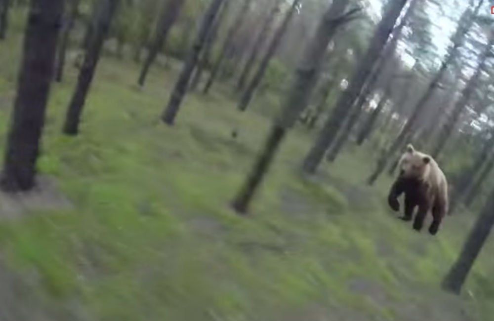 Vidéo il se filme à vélo poursuivi par un ours, info ou intox ? CNEWS