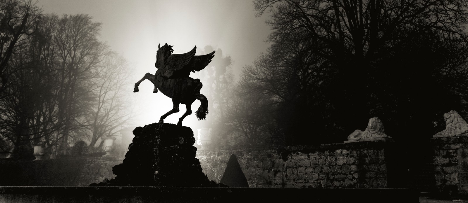 In Disney's Hercules, what is Hercules' winged horse friend called?