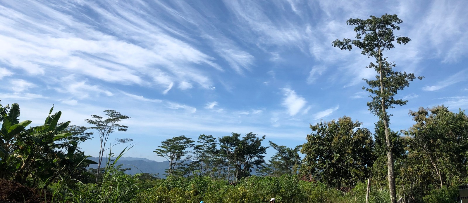 What is the name of the high, thin clouds made of ice crystals?