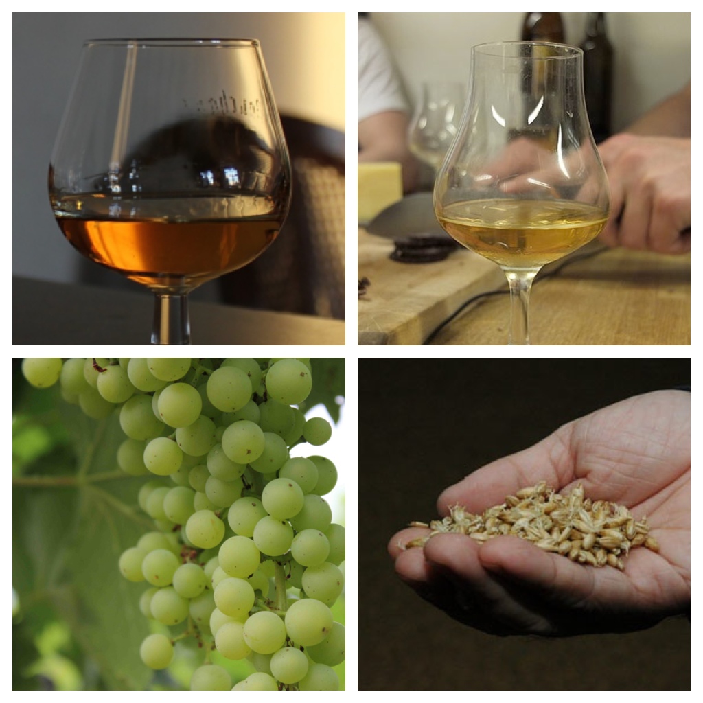 Cognac and Whisky 3 Main Differences To Know Cognac Expert Blog