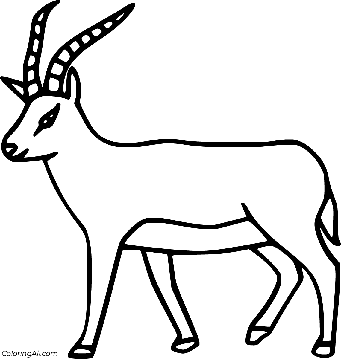 Antelope in Uganda • Nature, Wildlife Safari • Destination Guide