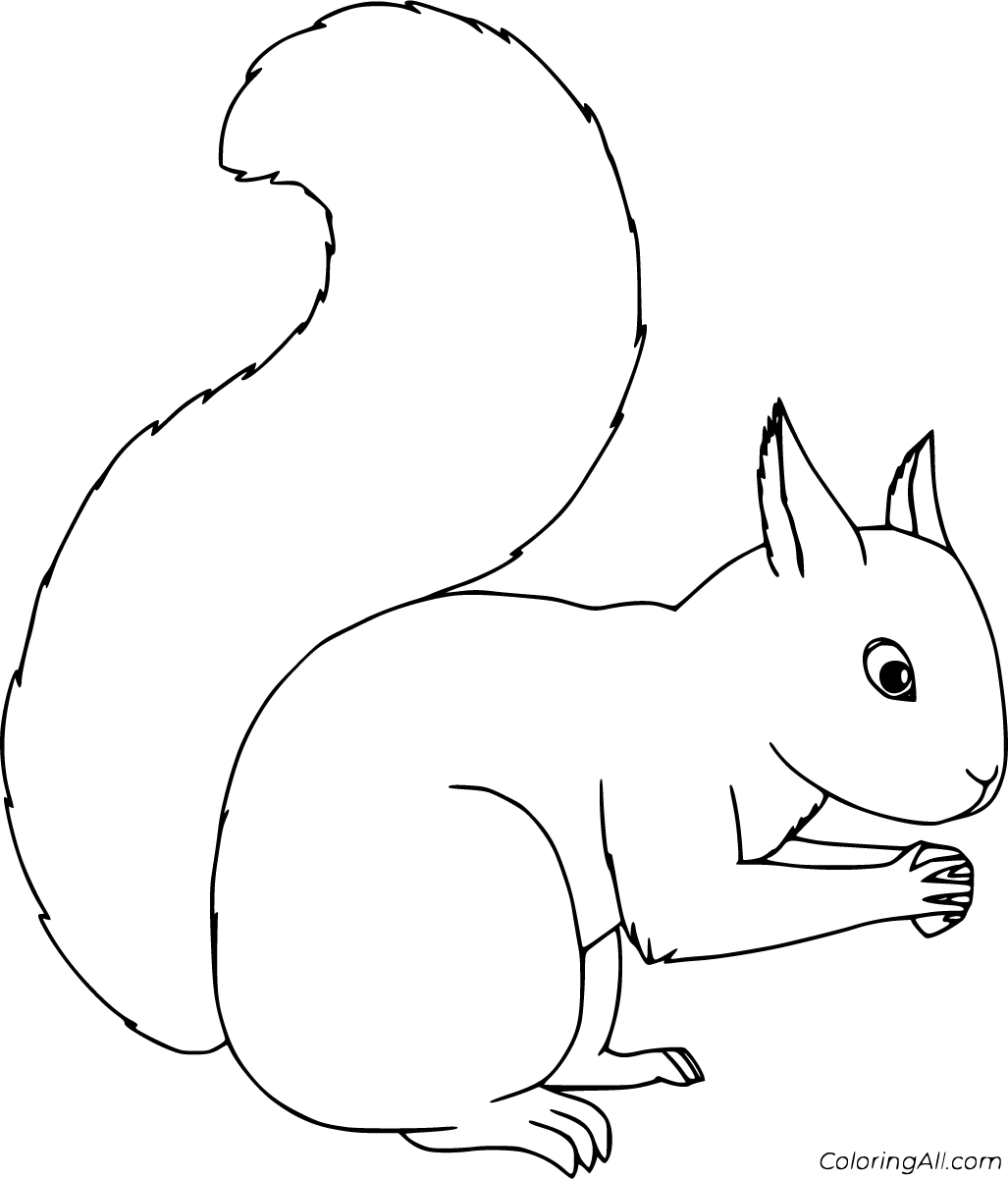 Squirrel Coloring Pages (85 Free Printables) - ColoringAll