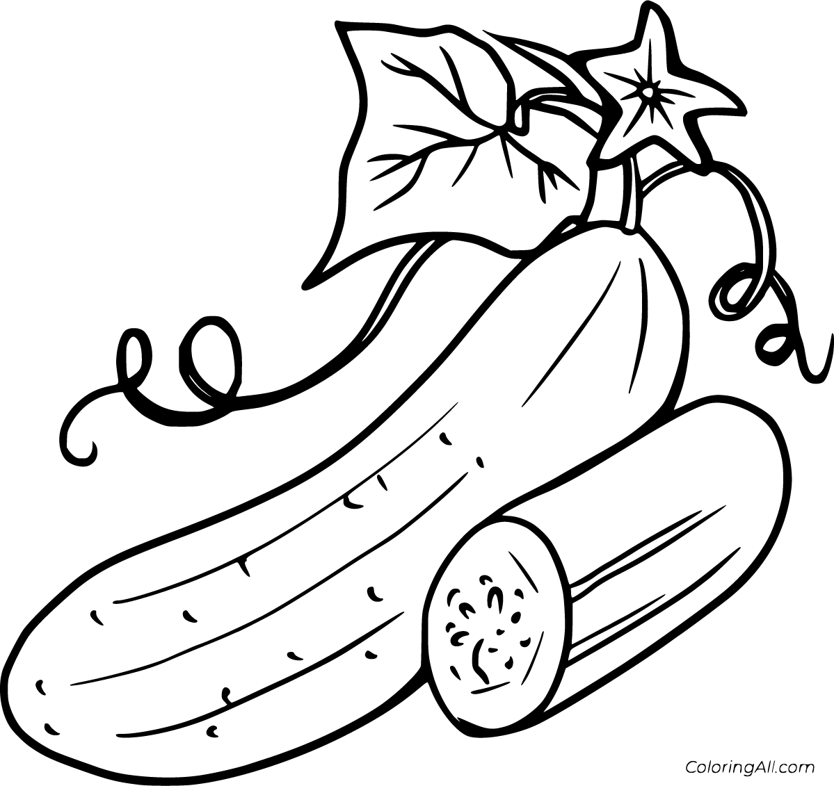 Cucumber Slice Drawing Coloring Getdrawings Sketch Coloring Page
