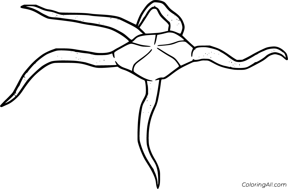 Brittle Star Coloring Pages (6 Free Printables) ColoringAll