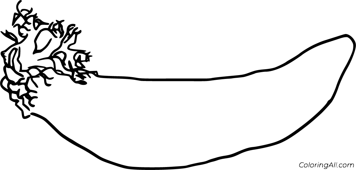 Sea Cucumber Coloring Pages (4 Free Printables) ColoringAll