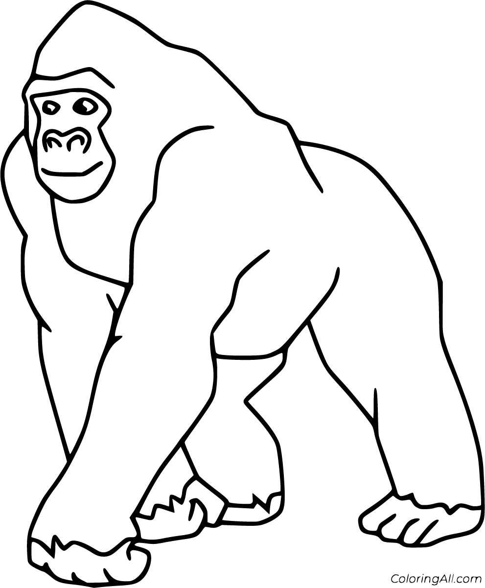 Gorilla Coloring Pages (54 Free Printables) - ColoringAll