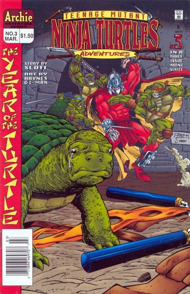 Teenage Mutant Ninja Turtles Adventures 3 The Year of