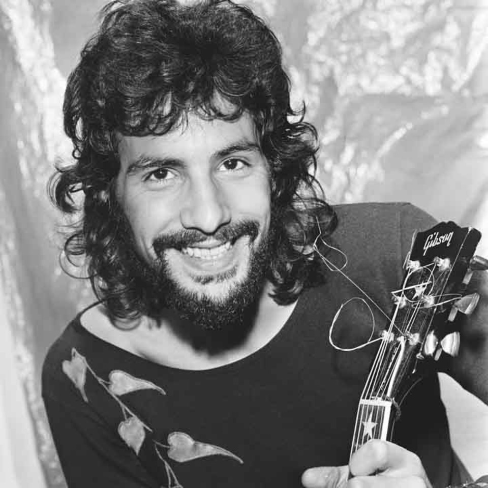 Cat Stevens (Character) Comic Vine