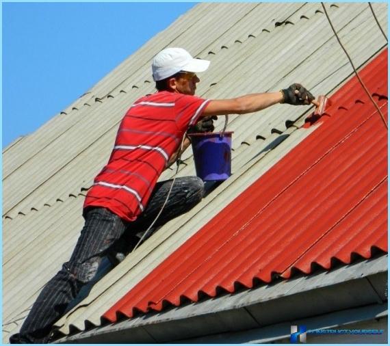 What paint for the roof is better to choose rubber, rust on
