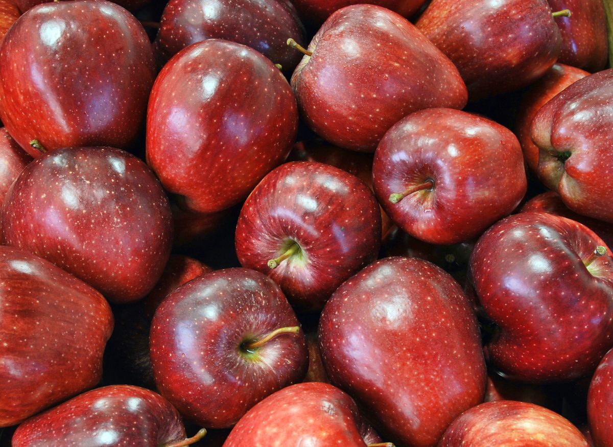 Guida alle mele le varietà più importanti e come usarle in cucina