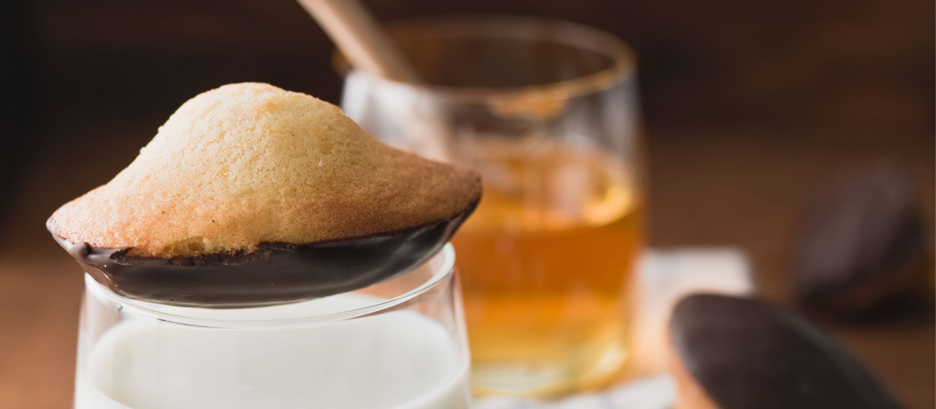 Mother's Day Chocolate Dipped Honey Madeleines Recipe